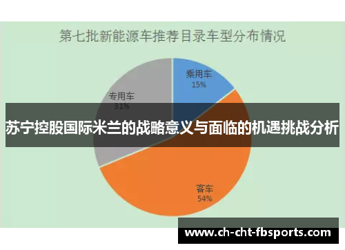 苏宁控股国际米兰的战略意义与面临的机遇挑战分析 苏宁控股国际米兰的战略意义与面临的机遇挑战分析
