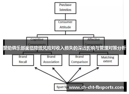 赞助俱乐部面临降级风险对收入损失的深远影响与管理对策分析