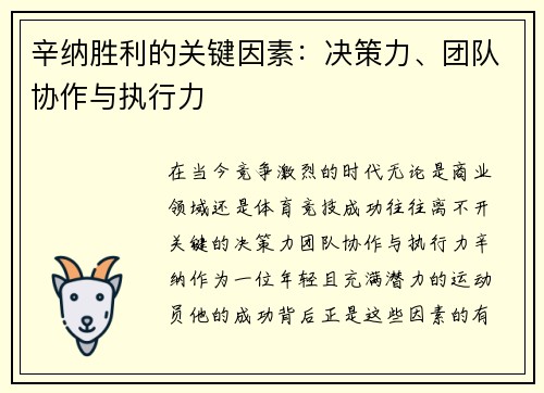辛纳胜利的关键因素：决策力、团队协作与执行力